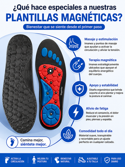 Plantillas Magnéticas